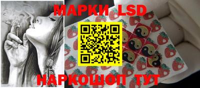 МДПВ Донецк