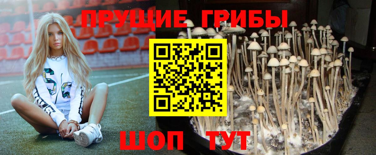 Галлюциногенные грибы прущие грибы Новоалтайск